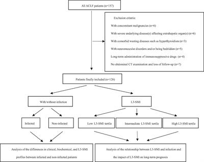 Relationship between skeletal muscle index at the third lumbar vertebra with infection risk and long-term prognosis in patients with acute-on-chronic liver failure